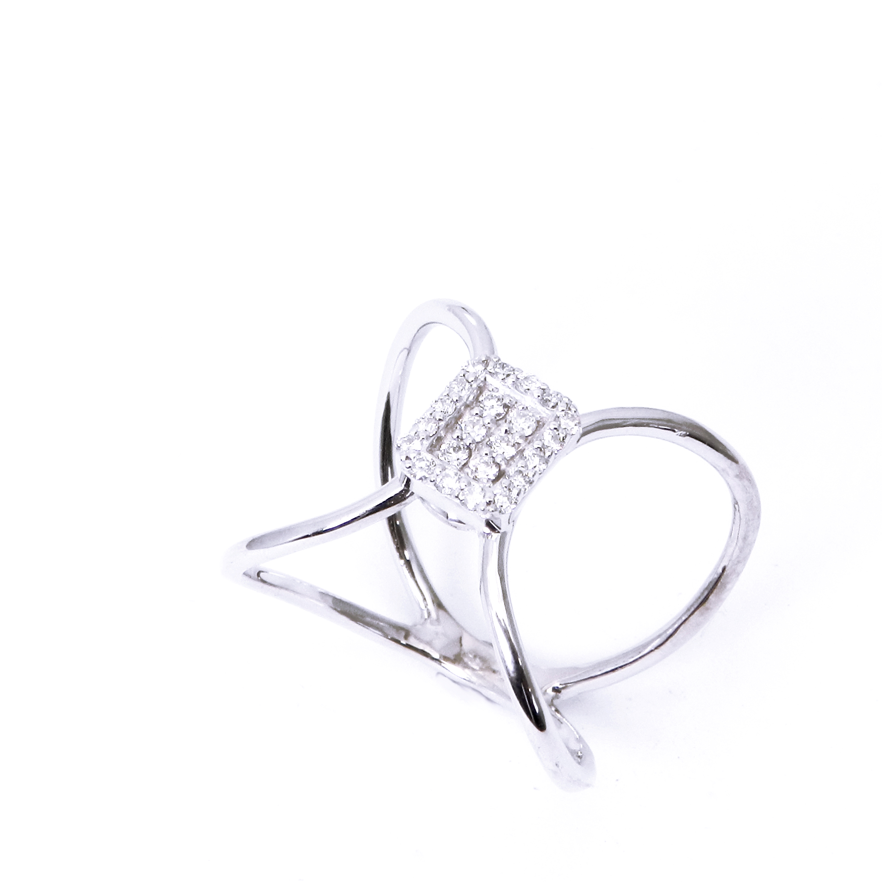 פריחת הזהב – תמונה 2