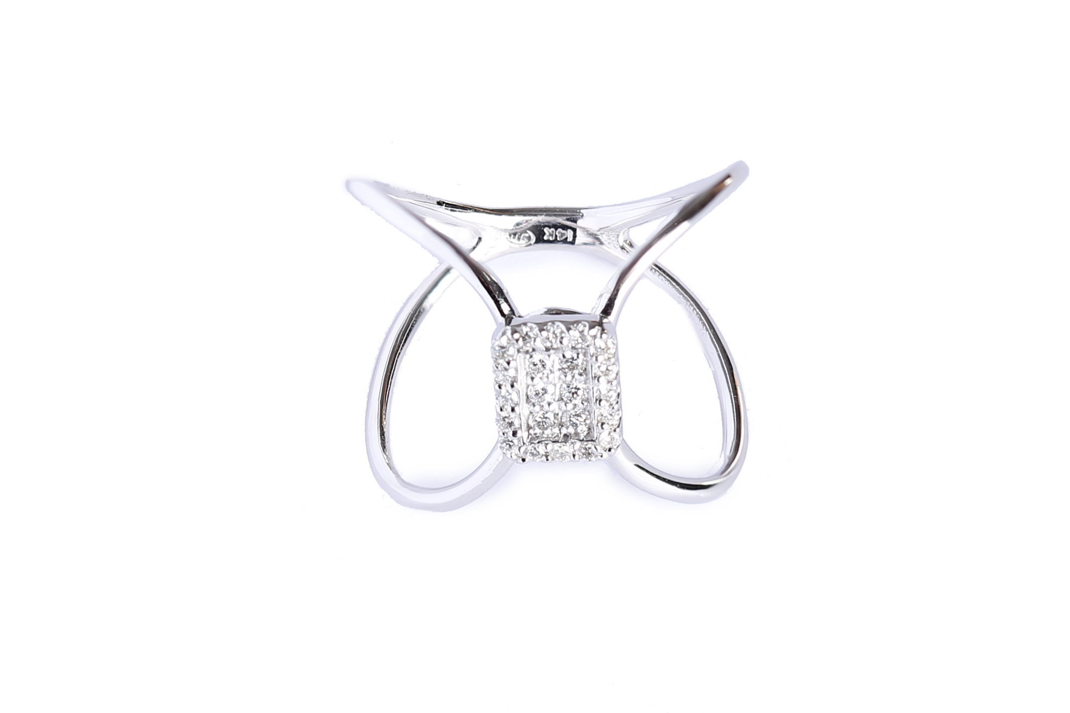 פריחת הזהב – תמונה 4