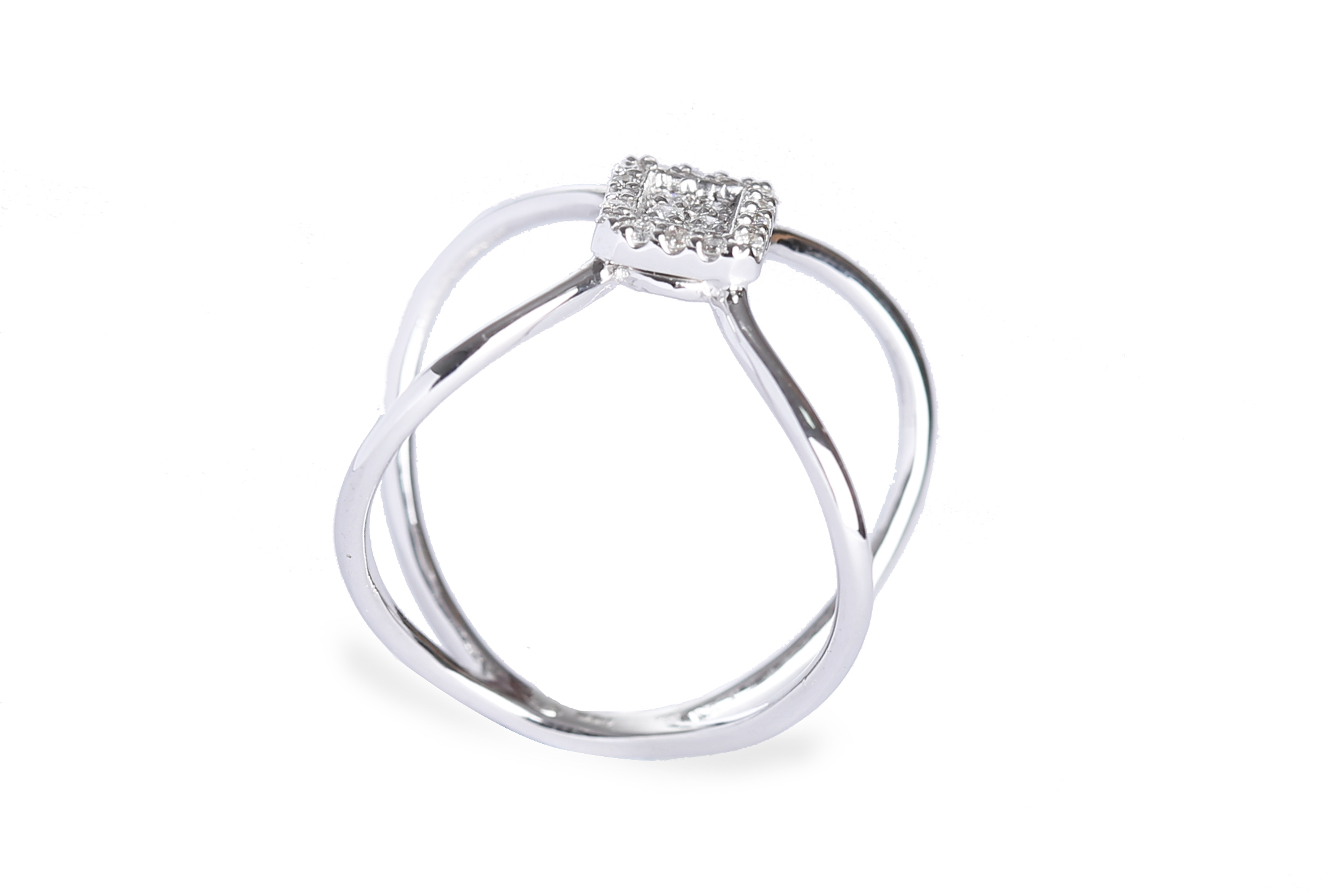 פריחת הזהב – תמונה 5